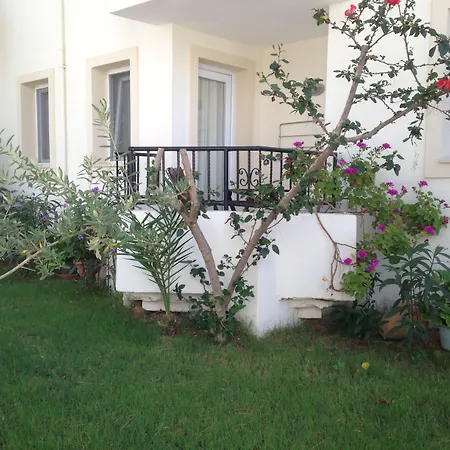 Bed and Breakfast Acelya 3*