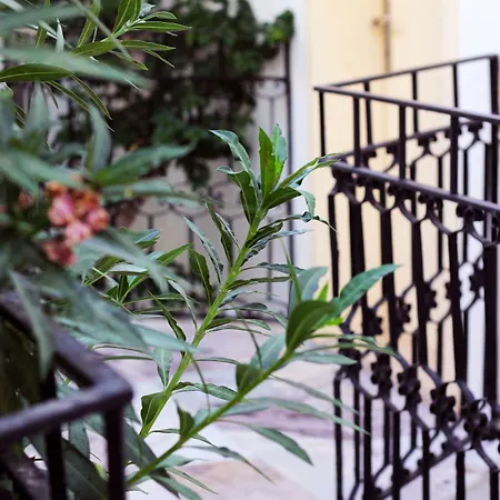 Acelya Bed and Breakfast Ortakent