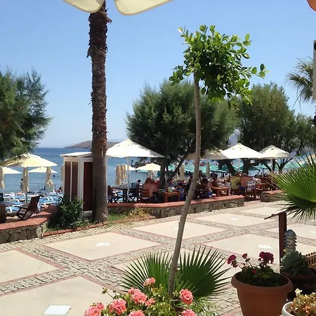 Bed and Breakfast Acelya 3*