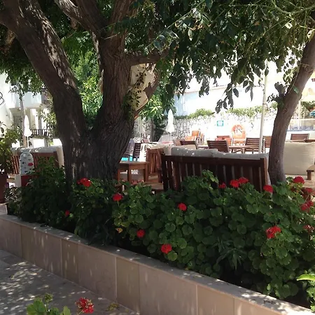 Bed and Breakfast Acelya 3*