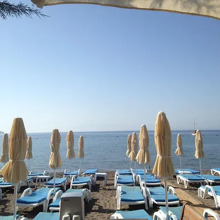 Bed and Breakfast Acelya 3*